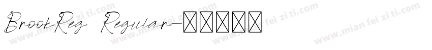 BrookReg Regular字体转换